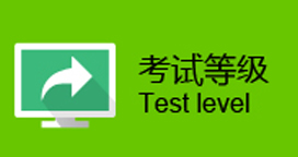 考试等级