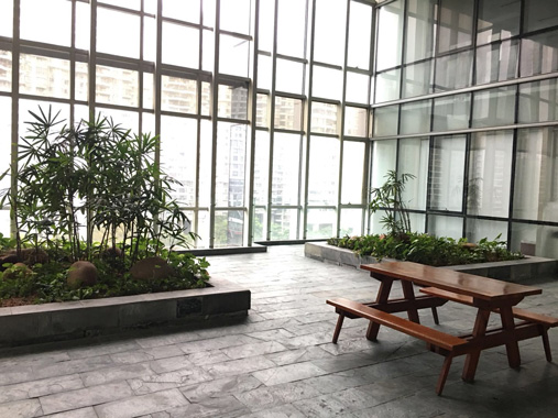 后花园