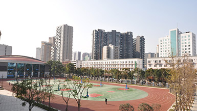 树德掠影