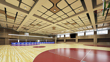 新东方国际学校室内运动馆