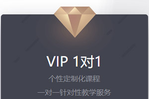 VIP 1對1