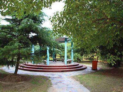上海新和中学国际部