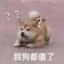 越南考雅思真的太香了，這條曲線分手之路到底怎么樣？
