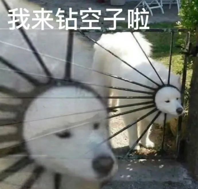 快看！实习不用愁！全美实习机会最多的五所大学！