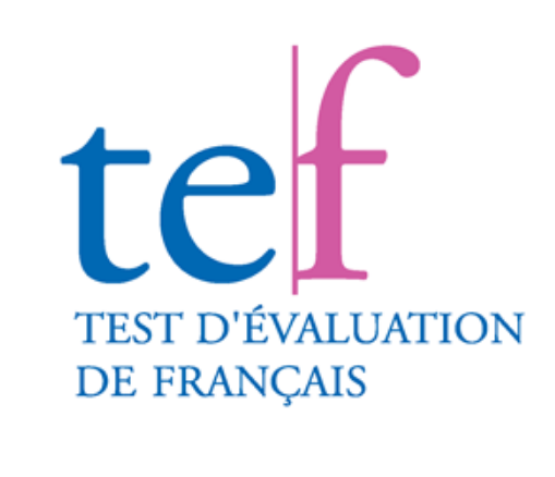 法语考试大解析！一文带你看懂TCF、TEF、TCF DAP、DELF、DALF