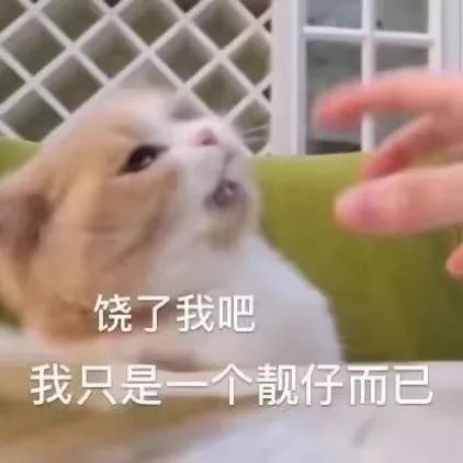 英語四六級(jí)作文官方評(píng)分標(biāo)準(zhǔn)來了!