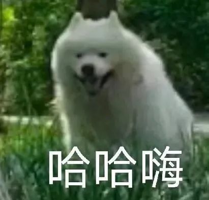 英語四六級(jí)作文官方評(píng)分標(biāo)準(zhǔn)來了!