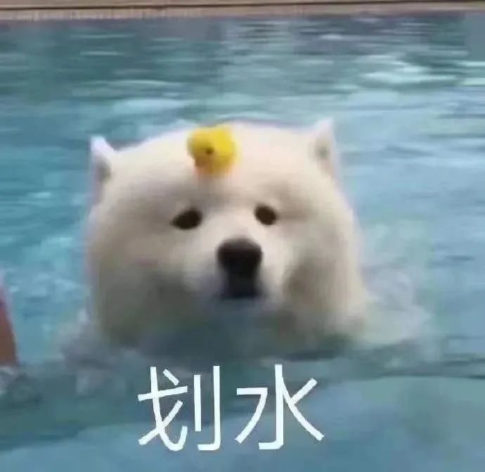 速來看看你還有24年四六級參賽資格嗎?