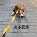 快看!晦澀難懂的GRE單詞還能這樣記?