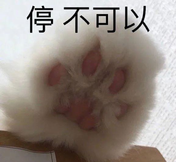 速來看看你還有24年四六級參賽資格嗎?