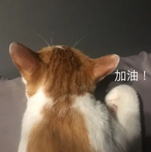 能打動(dòng)雅思考官的大雅思大作文常用地道表達(dá)~學(xué)會(huì)了就輕松打動(dòng)雅思考官！，真就這么難寫(xiě)？