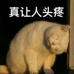 雅思大作文常用地道表達(dá)~學(xué)會(huì)了就輕松打動(dòng)雅思考官！