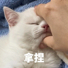 雅思大作文常用地道表達(dá)~學(xué)會(huì)了就輕松打動(dòng)雅思考官！