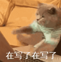雅思大作文常用地道表達(dá)~學(xué)會(huì)了就輕松打動(dòng)雅思考官！