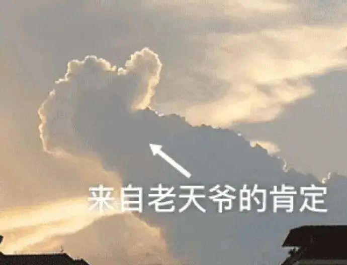 24年音乐考研复试全流程，提前上岸！