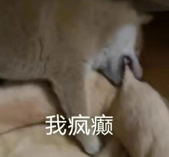最高涨幅10%！英国G5集体涨学费，国际学生学费又双叒叕涨了