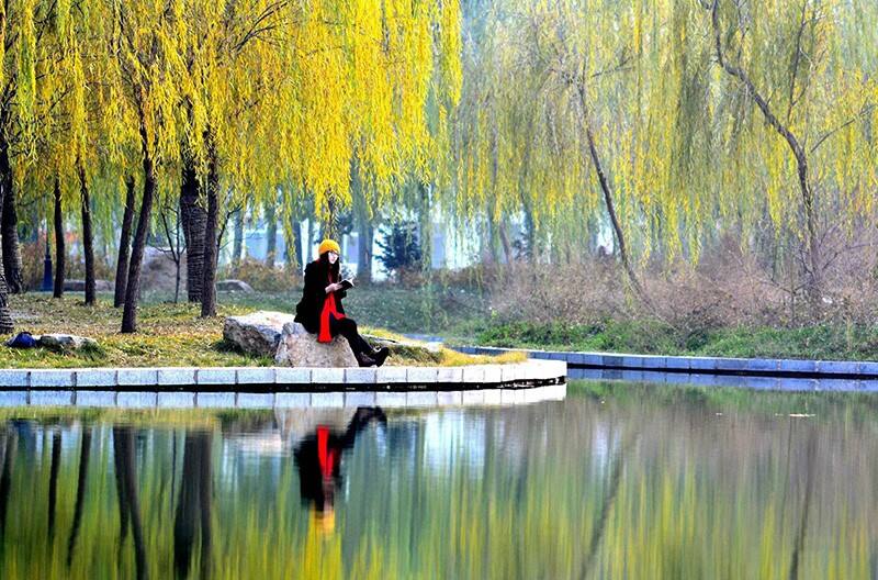 河北经贸大学校园风景1