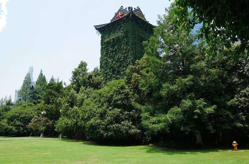 南京大學校園風景4