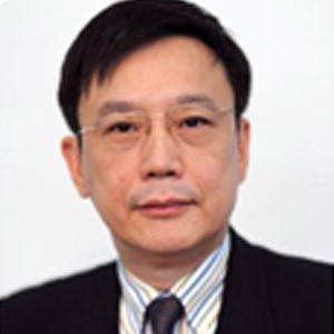 杨 丹 