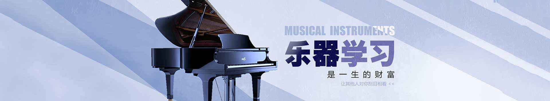 北京北图文化发展中心器乐培训