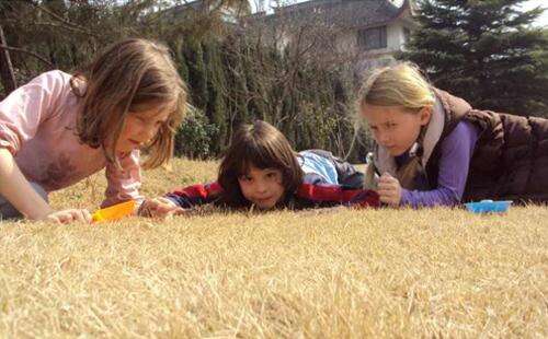 上海私立蒙特梭利幼儿园苗苗班、小树班、大树班：跟随孩子，看看他们在学校的一天。