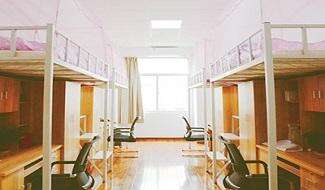 除美国中学课程外，三牛中美中学还提供美国大学所需的所有标准化考试课程，包括TOEFL、SAT、SATII等，并有经验丰富的美方升学顾问指导大学申请。