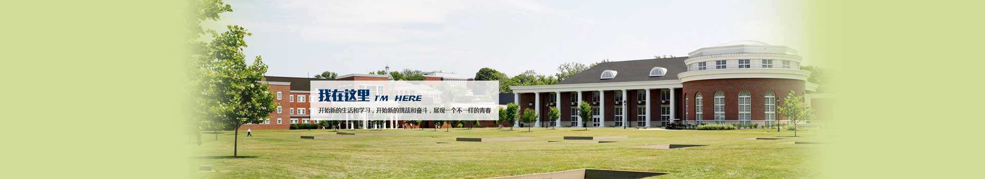 斯代文森国际高中