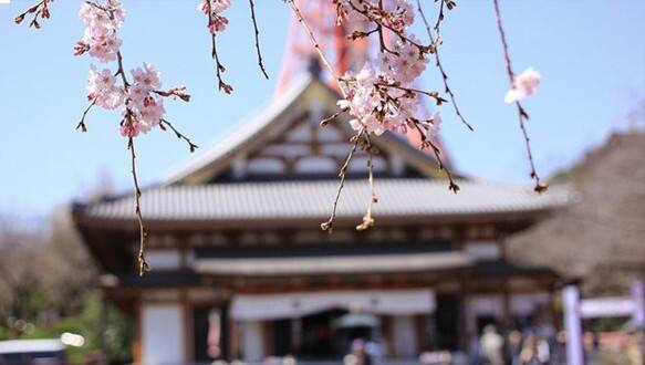 北外-日本神户亲和女子大学本科直招