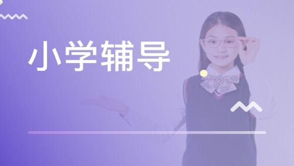 小学辅导课程 