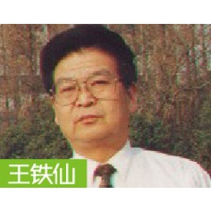 王铁仙