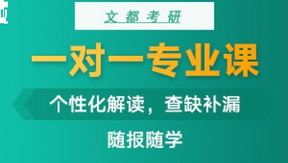 大连文都考研一对一专业课（32课时）