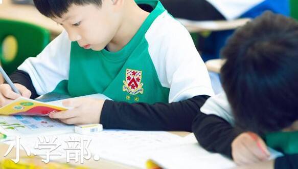 北京德闳学校小学课程