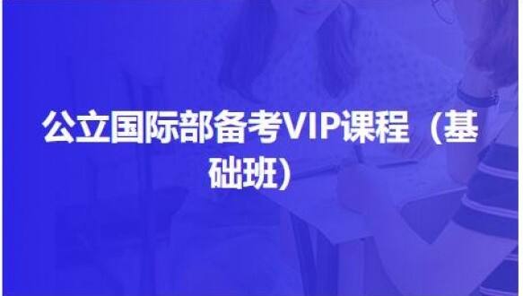 公立国际部备考VIP课程（基础班）