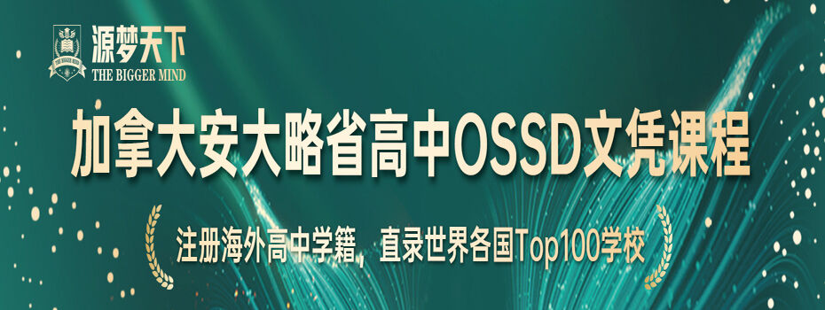 北京源梦天下课程