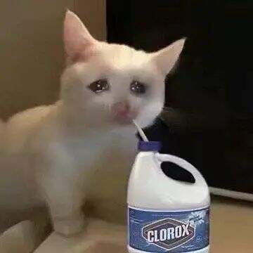 雅思考试经验心得