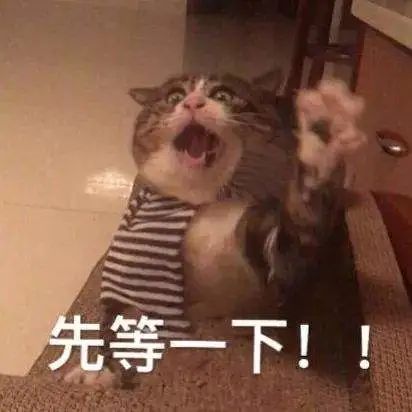 錯過就后悔!“英語四六級”新規(guī),大學(xué)生要提前了解!