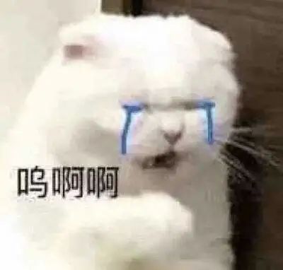 錯過就后悔!“英語四六級”新規(guī),大學(xué)生要提前了解!