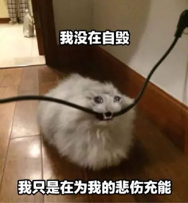 錯過就后悔!“英語四六級”新規(guī),大學(xué)生要提前了解!