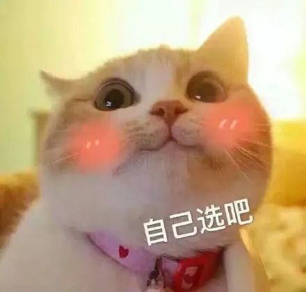 學(xué)霸都在用的5個(gè)雅思學(xué)習(xí)軟件!你還不知道?