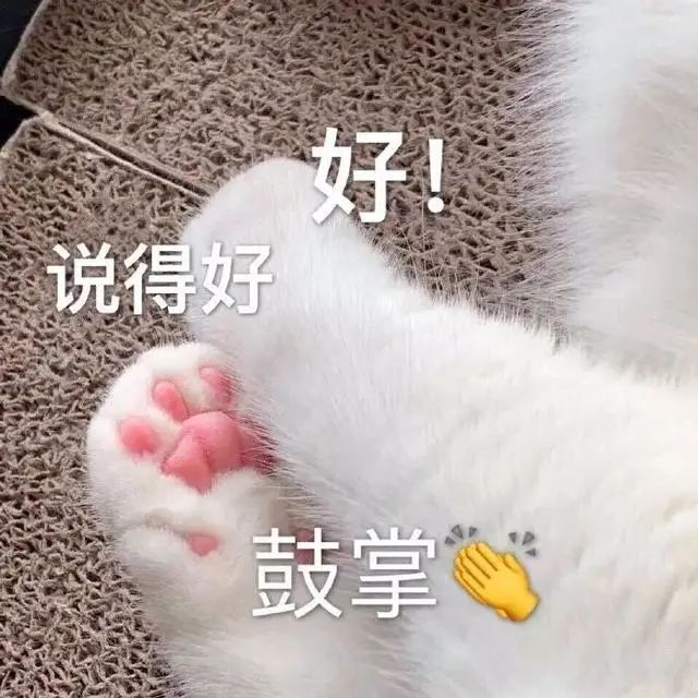 雅思寫作萬(wàn)年5.5，我要怎么做才能提升？