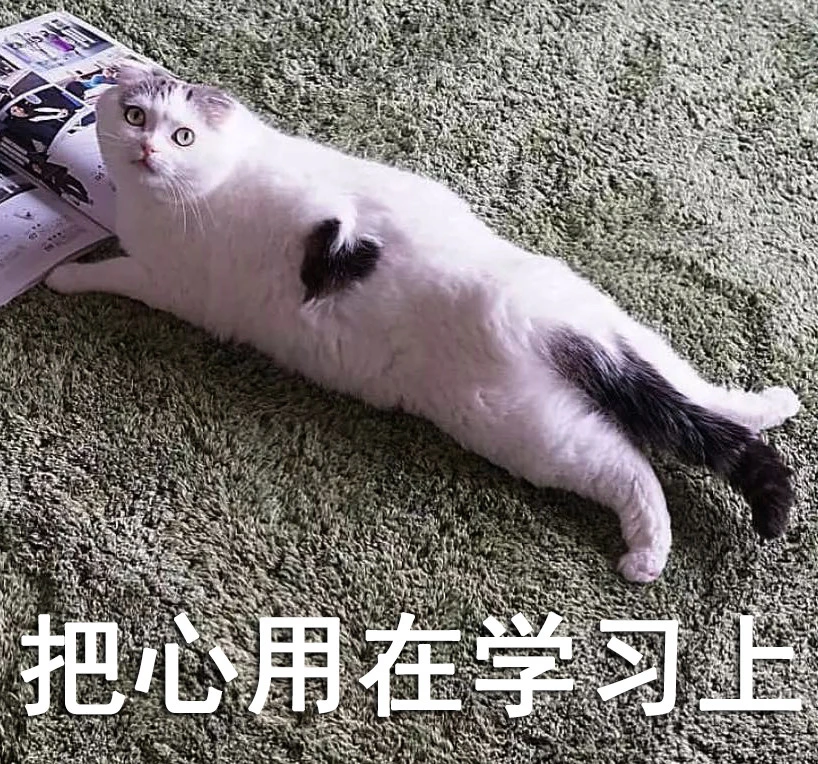 硬核“愛好”——裸考雅思!裸考雅思是種什么體驗(yàn)?