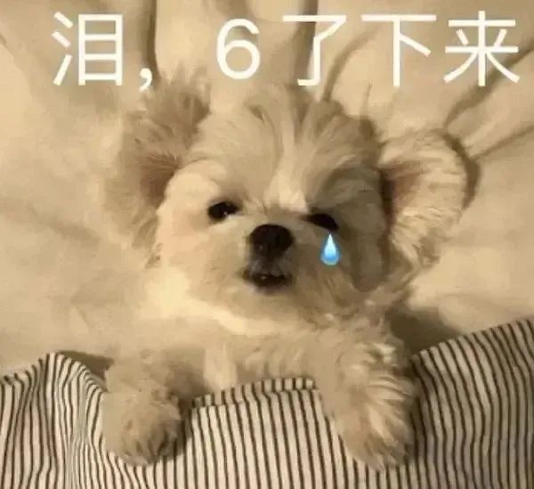 硬核“愛好”——裸考雅思!裸考雅思是種什么體驗(yàn)?