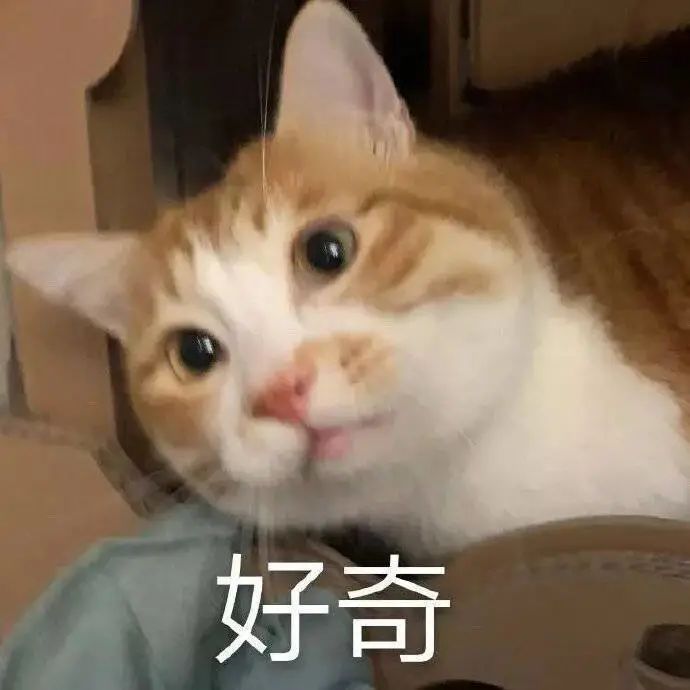 破防了!在英國考雅思分?jǐn)?shù)比大陸還低?