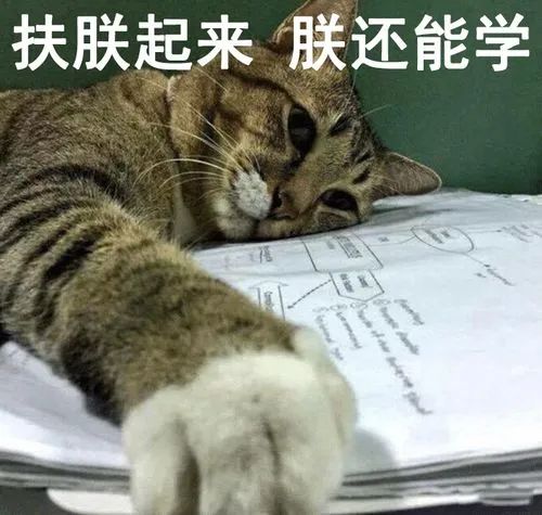 雅思與四六級(jí)成績(jī)換算表來(lái)啦!雅思在國(guó)內(nèi)都有些什么作用?