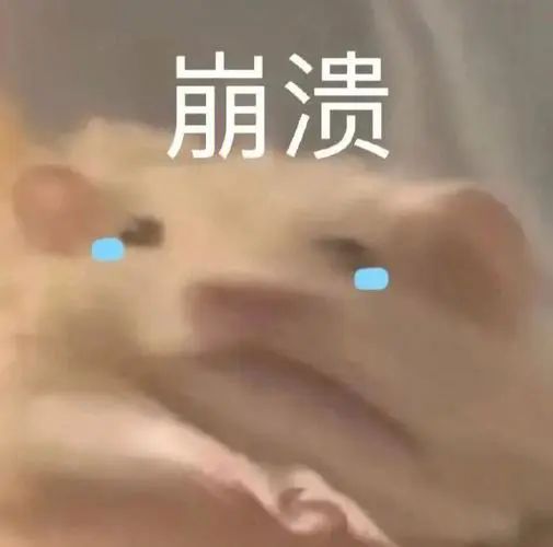 雅思與四六級(jí)成績(jī)換算表來(lái)啦!雅思在國(guó)內(nèi)都有些什么作用?