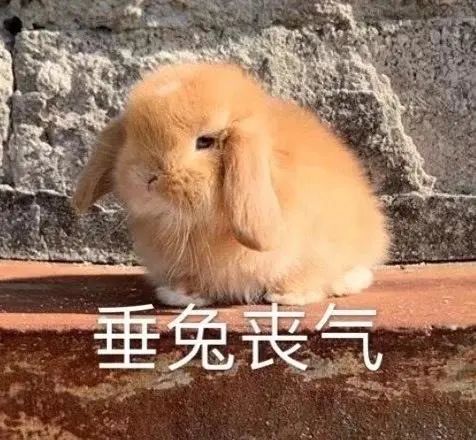 雅思與四六級(jí)成績(jī)換算表來(lái)啦!雅思在國(guó)內(nèi)都有些什么作用?