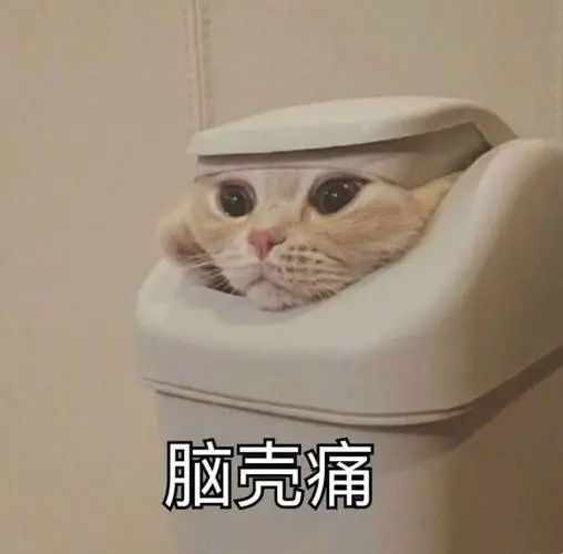 雅思與四六級(jí)成績(jī)換算表來(lái)啦!雅思在國(guó)內(nèi)都有些什么作用?