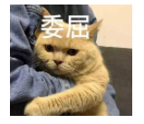 真有人雅思只考3.5分?3.5分到底是個(gè)什么概念?