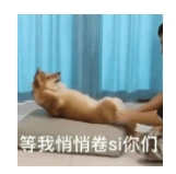 真有人雅思只考3.5分?3.5分到底是個(gè)什么概念?