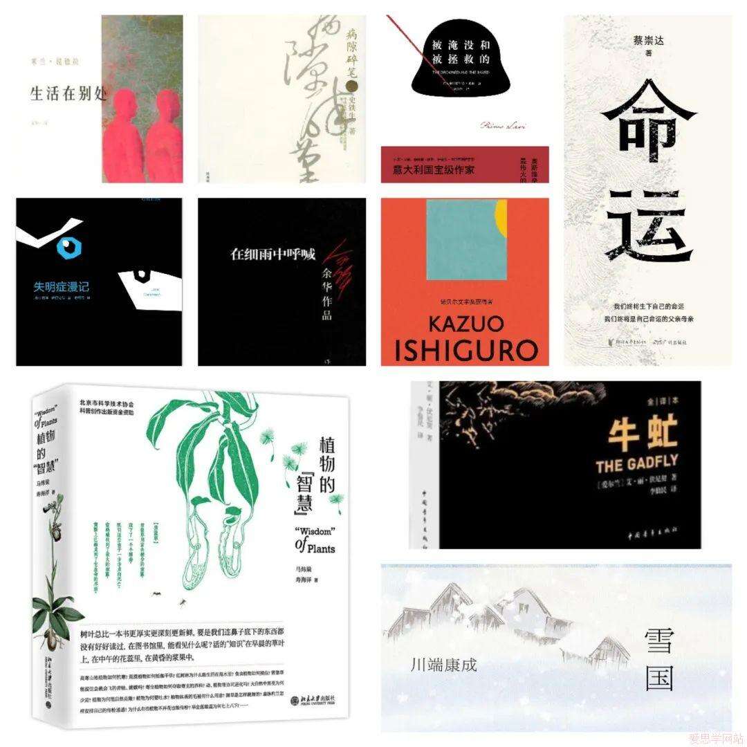 北京四中国际课程佳莲校区暑期书单：本期10本书籍，带你在精神世界里畅游